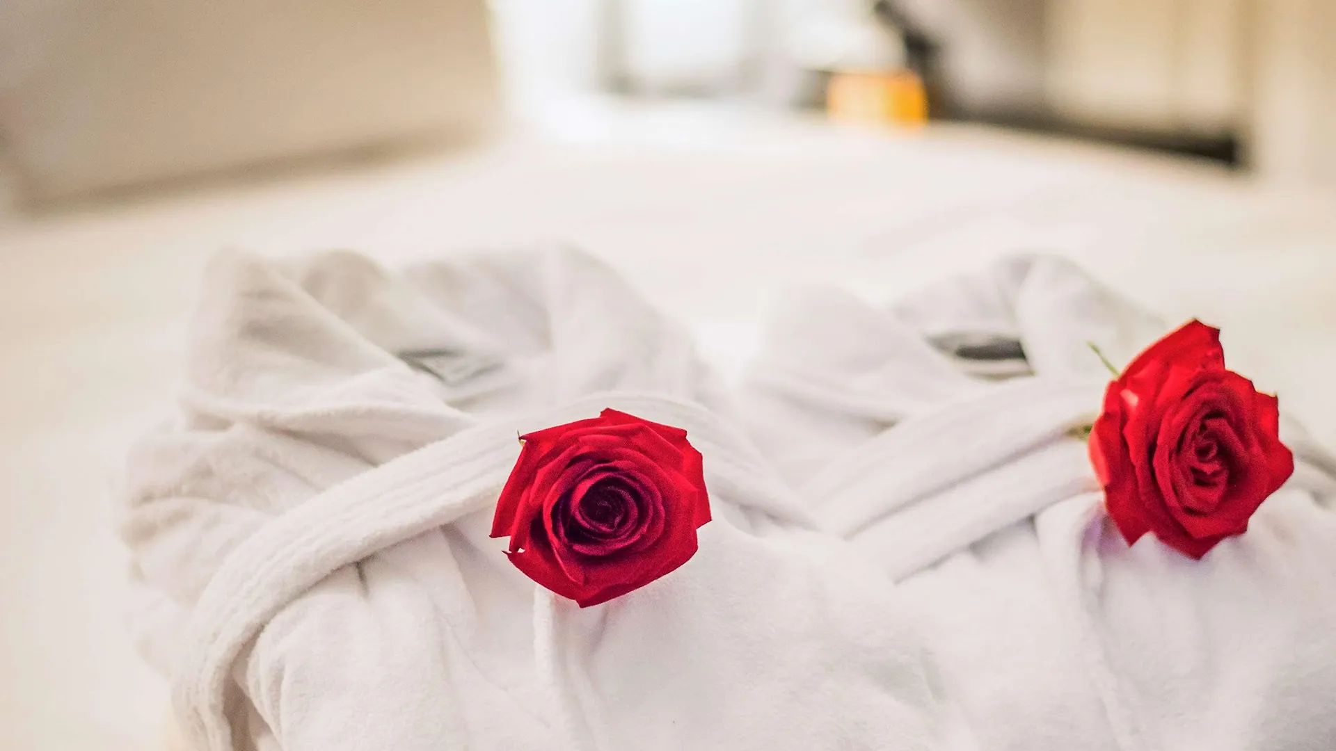 Pullman São Paulo Vila Olímpia Hotel