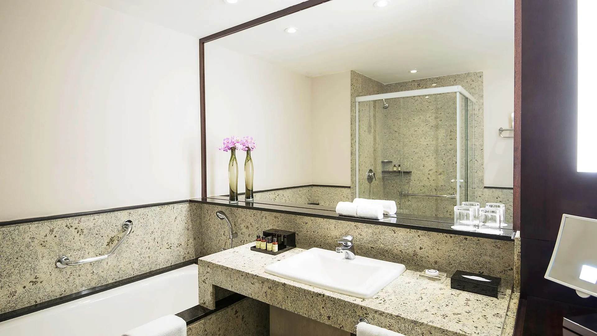 Hotel Pullman Sao Paulo Vila Olimpia